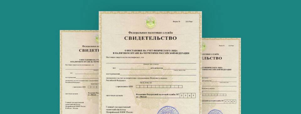 ИНН: что можно узнать по идентификационному номеру налогоплательщика