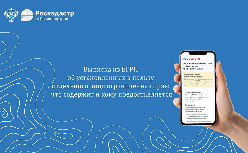 Выписка ЕГИССО: назначение и содержание