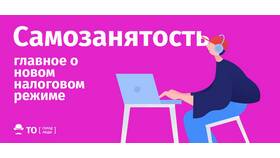 Что будет с самозанятыми после 2028 года в ТехноПоинт