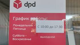 Что такое DPD на Авито: сервис доставки товаров в ТехноПоинт