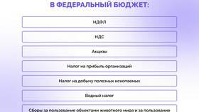 Что такое налоги и какие они бывают в ТехноПоинт