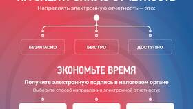 Что такое сальдо ЕНС простыми словами в ТехноПоинт