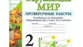 Что такое услуги в окружающем мире в ТехноПоинт