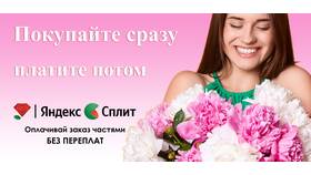 Что такое Яндекс Сплит и как это работает в ТехноПоинт