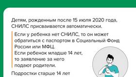 Для чего нужен СНИЛС в платной клинике в ТехноПоинт