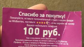 Как написать отзыв на Wildberries с телефона в ТехноПоинт