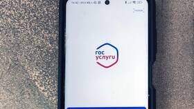Как подать на развод через Госуслуги в ТехноПоинт