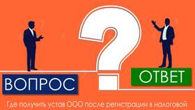 Как посмотреть устав ООО в ТехноПоинт