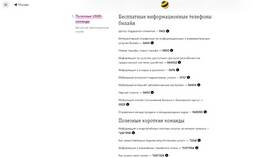Как связаться со службой поддержки Билайн в ТехноПоинт