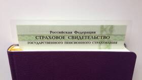 Как узнать СНИЛС по паспорту онлайн в ТехноПоинт