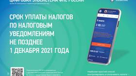 Как узнать сумму налогов по ИНН в ТехноПоинт