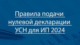 Как заполнить нулевую декларацию по УСН 