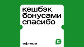 Кэшбэк бонусами СберБанка: что это в ТехноПоинт
