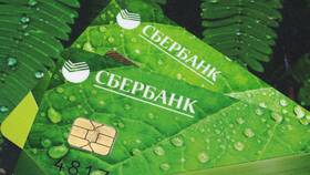Momentum карта Сбербанка: особенности и условия в ТехноПоинт