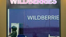 Почему упал Wildberries: причины сбоя работы маркетплейса в ТехноПоинт