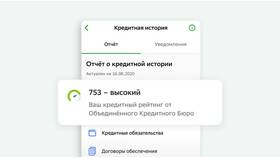 Скоринг кредитной истории: что это в ТехноПоинт