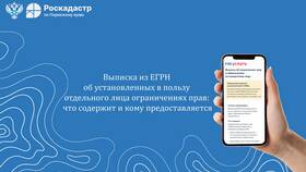 Выписка ЕГИССО: назначение и содержание в ТехноПоинт